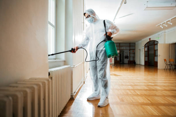 Best Termite Control Services  in Fairport Harbor, OH